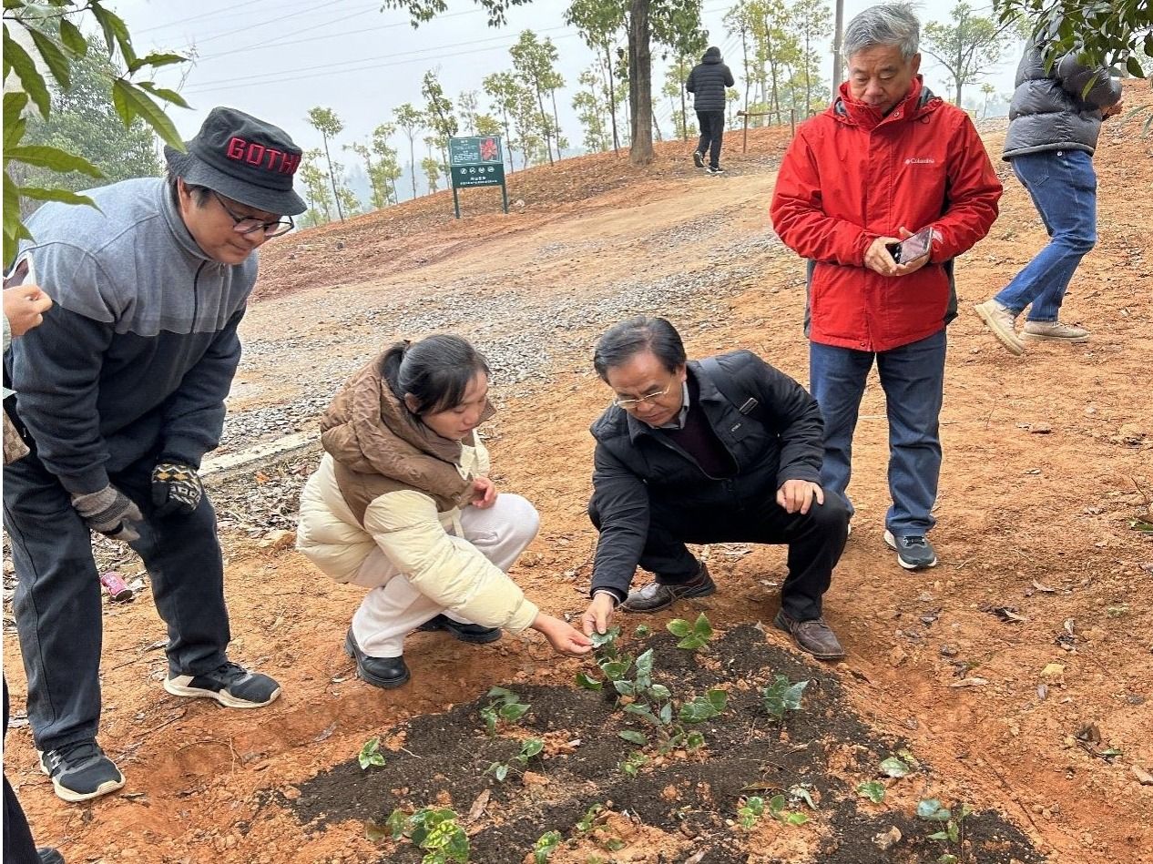 皇冠信用盘